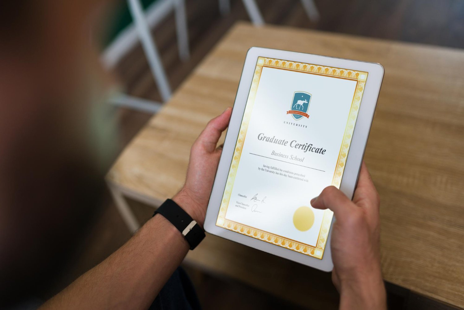 Provisional Certificate Translation in Kottayi | Honey Translation Services